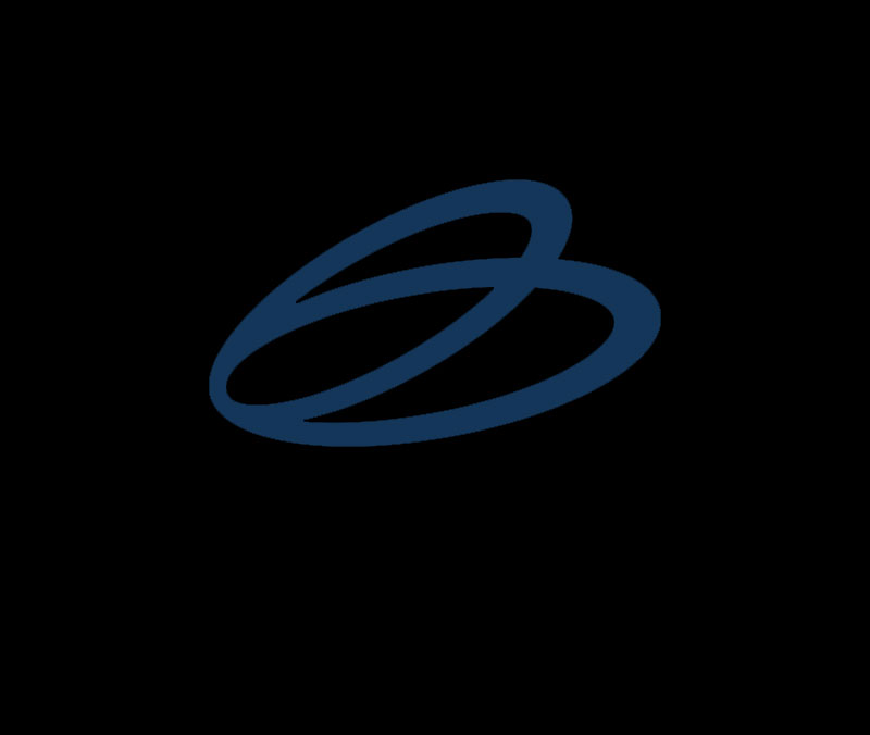 bee-yacht-04–highlights